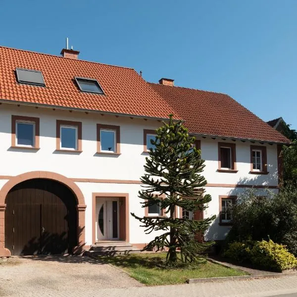 Ferienhaus am Mühlenpfad，位于Jägersburg的酒店