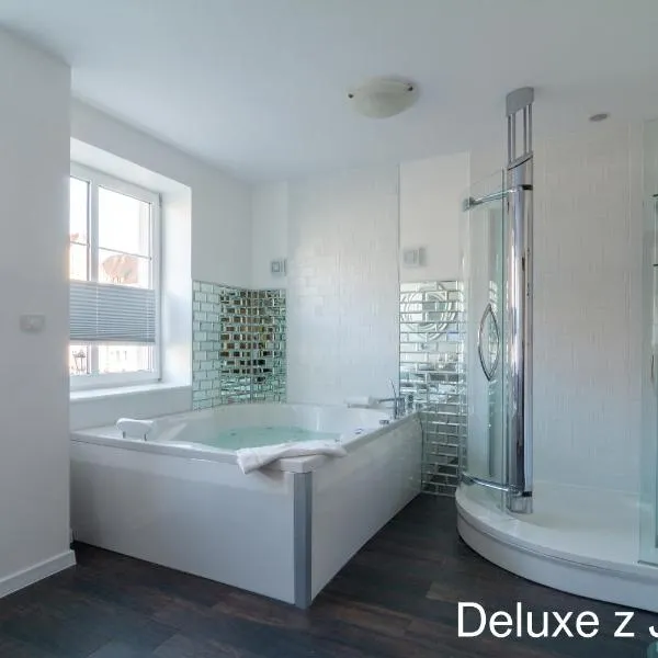 Apartamenty nad Motławą，位于格但斯克的酒店