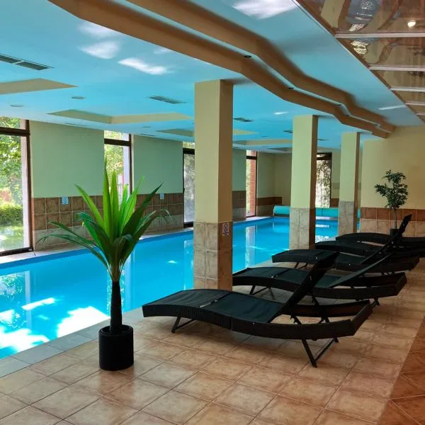 Dorina wellness，位于希欧福克的酒店