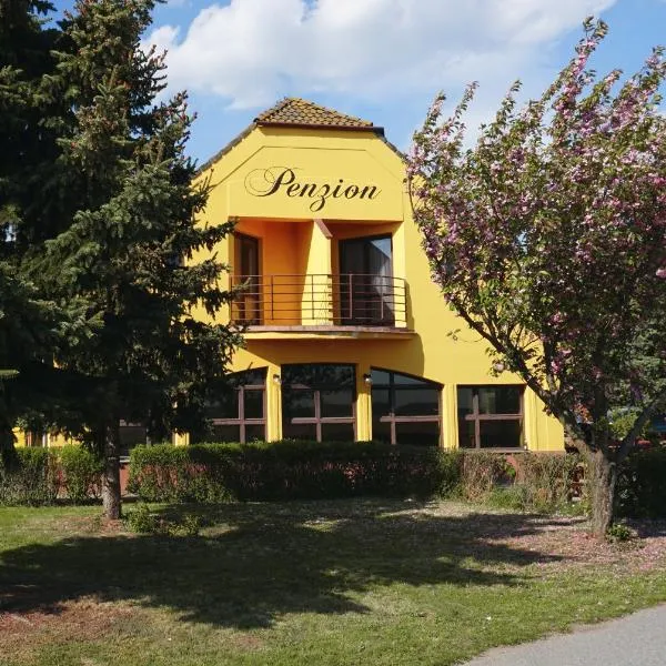LEO - PENZION，位于Boskovštejn的酒店