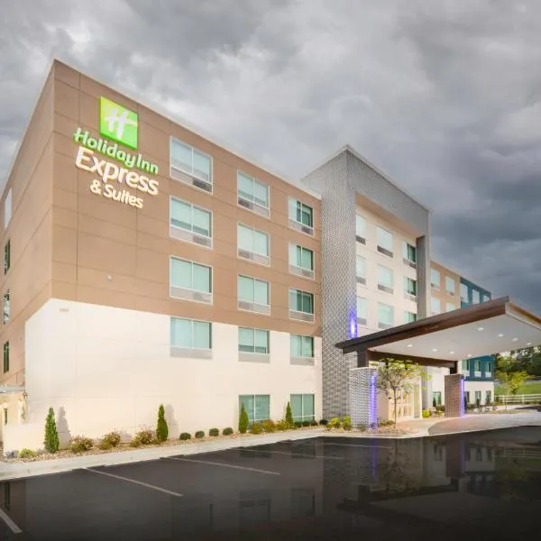 Holiday Inn Express & Suites - Rock Hill, an IHG Hotel，位于York的酒店