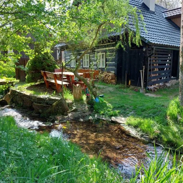 Roubenka u potoka Výprachtice，位于Jablonné nad Orlicí的酒店