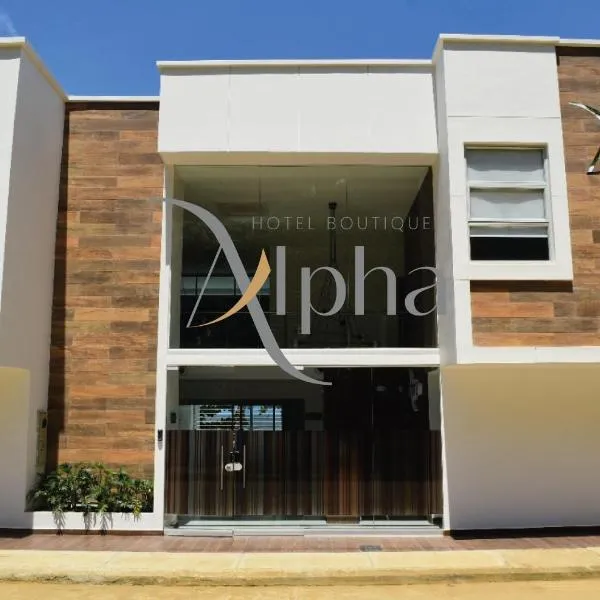 Alpha Hotel Boutique，位于内科克利的酒店