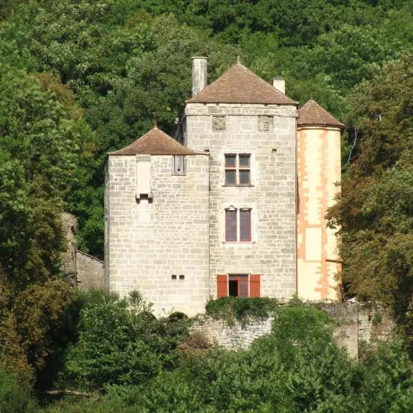 Château de Champrenault, voyagez dans le temps，位于Saint-Mesmin的酒店