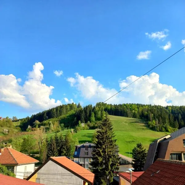 Zlatar duplex，位于Amzići的酒店