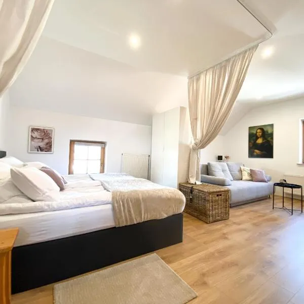 Fado Apartments Gornja Radgona，位于上拉德戈纳的酒店