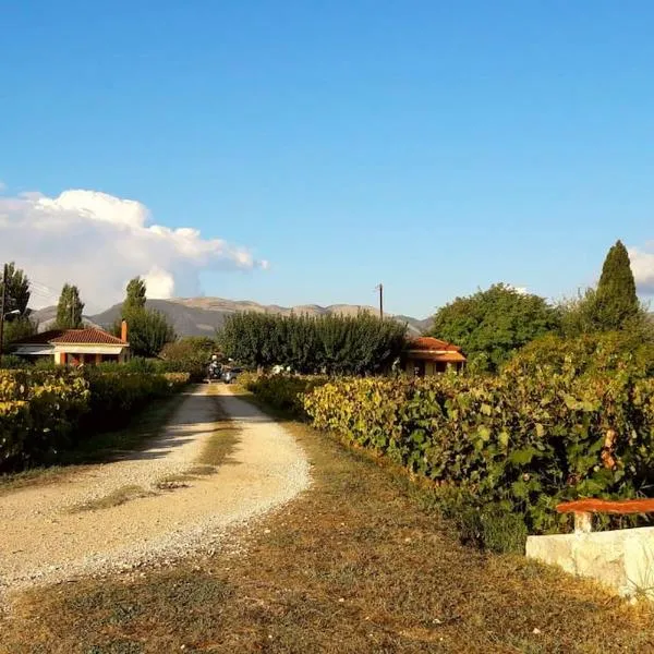 Authentic Country House in Zakynthos，位于Ambelókipoi的酒店