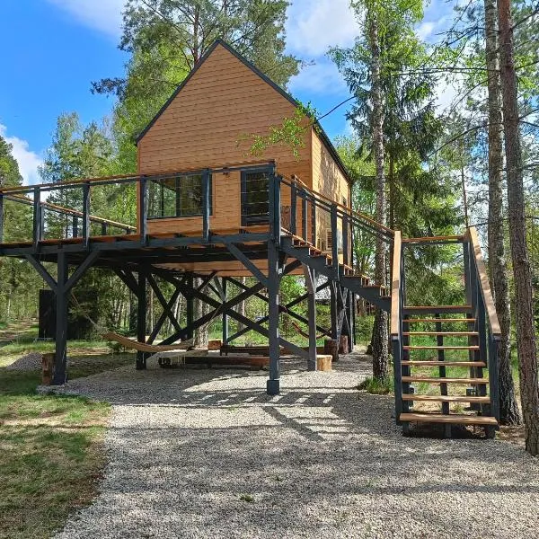 Zdalnie z Lasu - Siedlisko w Puszczy Białowieskiej，位于Narewka的酒店