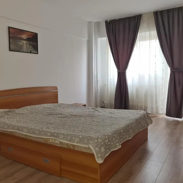 Apartament ANNA，位于Dragomireşti的酒店