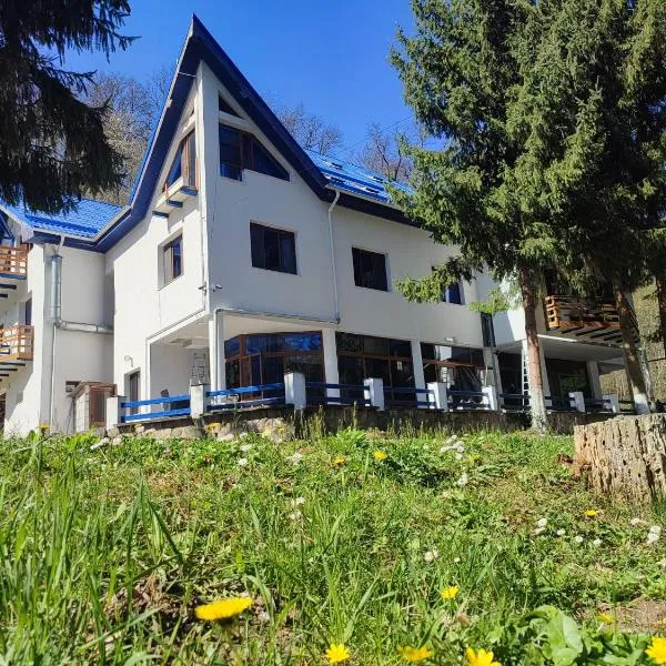Hotel Parc Geoagiu Bai，位于乔阿久拜的酒店