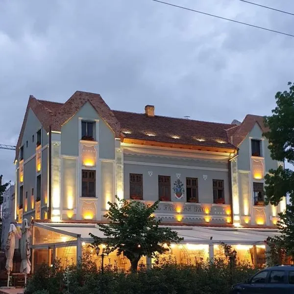 Conacul Sfântul Sava Brancovici，位于Pîncota的酒店