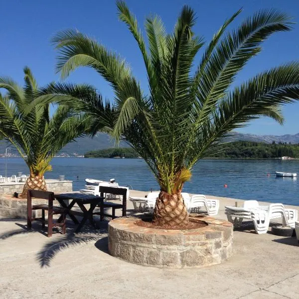 Monténégro, villa dans la baie de Kotor, avec plusieurs appartements tout confort en front de mer!，位于拉多维奇的酒店