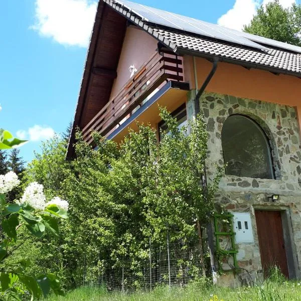 Country House & Spa，位于Ravne na Koroškem的酒店