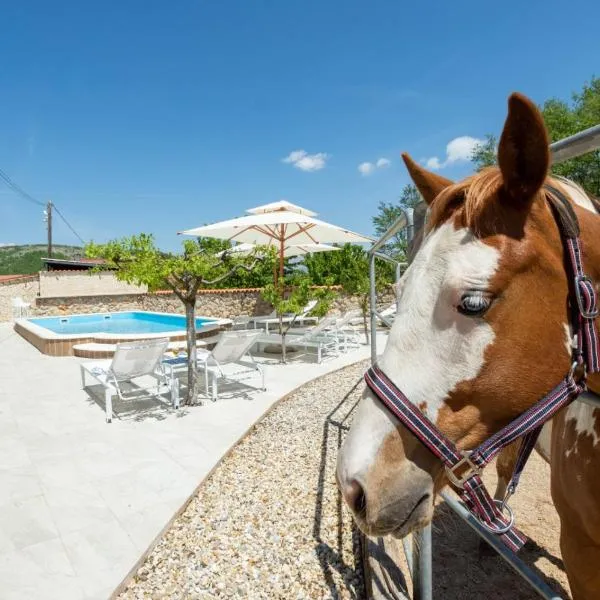 Holiday home with swimming pool, donkeys and horses，位于Kijevo的酒店