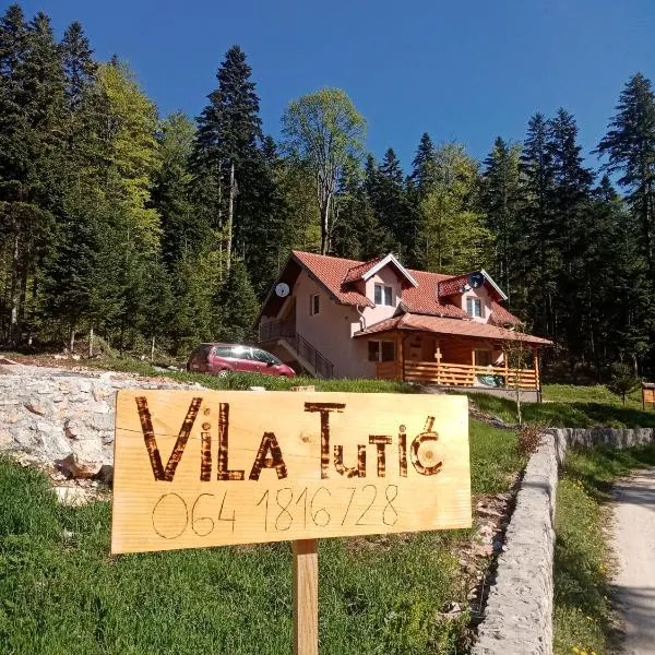 Vila Tutić Apartman 1 i Apartman 2，位于米特洛瓦克的酒店