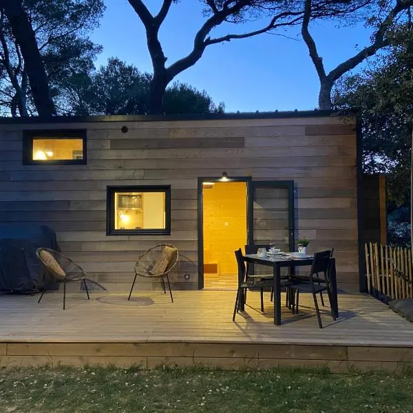 TINY HOUSE LA FARIGOULE，位于Pélissanne的酒店