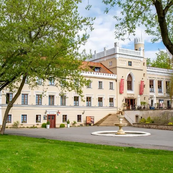 圣哈维尔城堡酒店 - 健康酒店，位于Šatalka的酒店