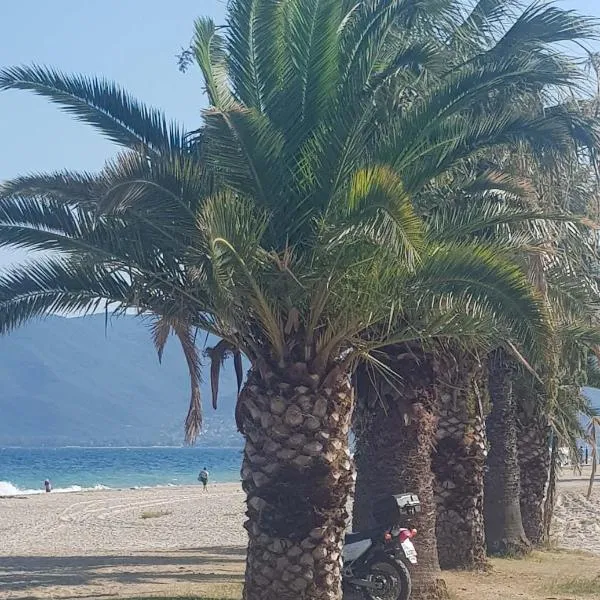 Apartment with two rooms near the beach，位于艾斯普罗瓦塔的酒店