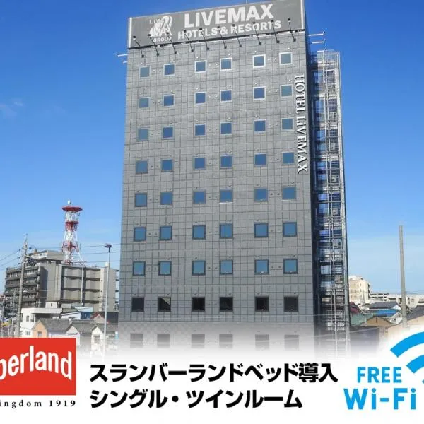 HOTEL LiVEMAX Okazaki，位于冈崎市的酒店