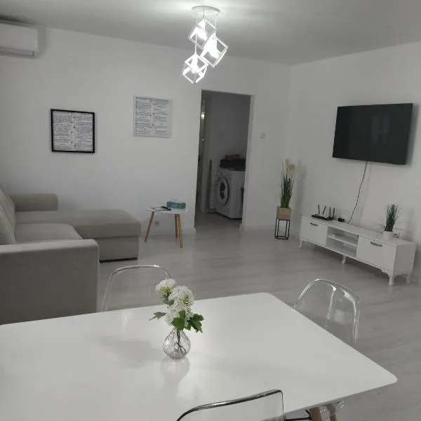 Apartament max. confort，位于Partizanii的酒店