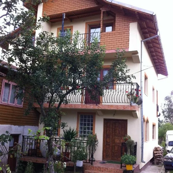 pensiunea Casa Eliza Maria，位于Bucşeneşti的酒店