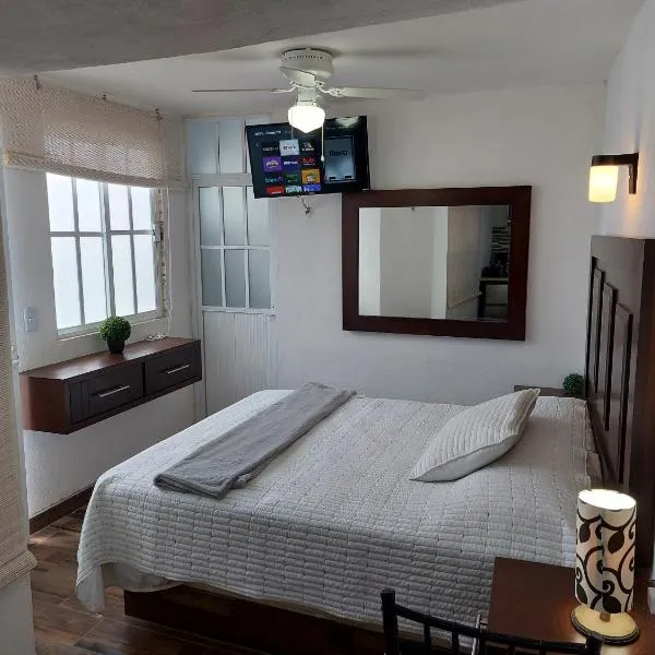 Nuevo Depa #7 tipo loft en Planta Alta en Centro Histórico，位于萨卡特卡斯的酒店