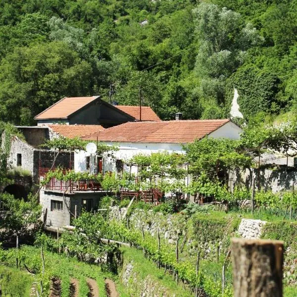 Country House Dajkovic，位于Dupilo的酒店