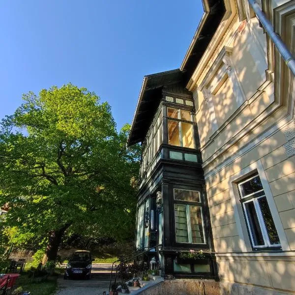 Villa Petterhof，位于塞默灵的酒店