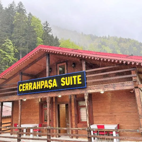 CERRAHPAŞA SUİTE HOTEL，位于乌宗的酒店