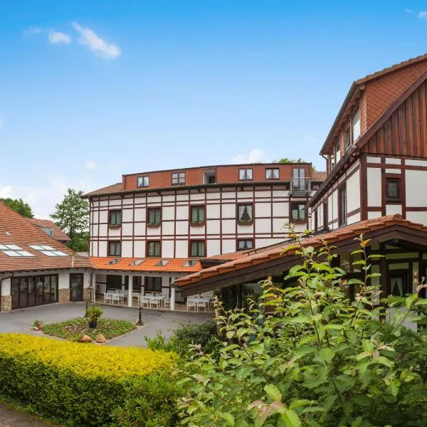 明镜施瓦林霍夫兰德酒店，位于Merlsheim的酒店