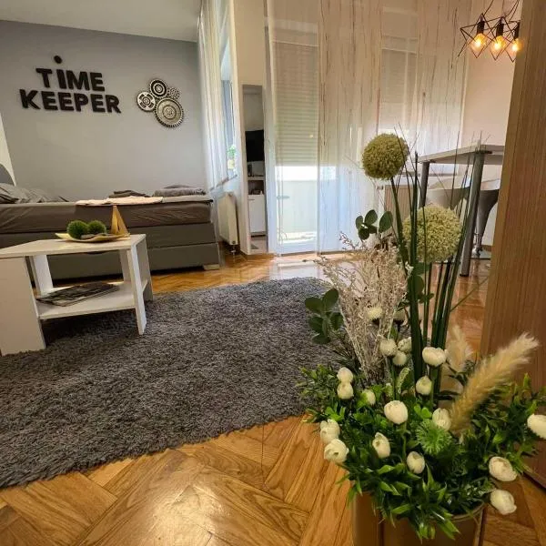 TIME KEEPER - SELF check in，位于Švajcarnica的酒店