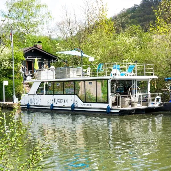 Hausboot Schleuseninsel，位于圣戈阿尔的酒店