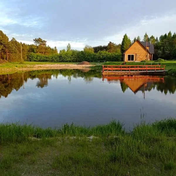 Agroturystyka Podlasie dom nad stawem，位于蒂科钦的酒店