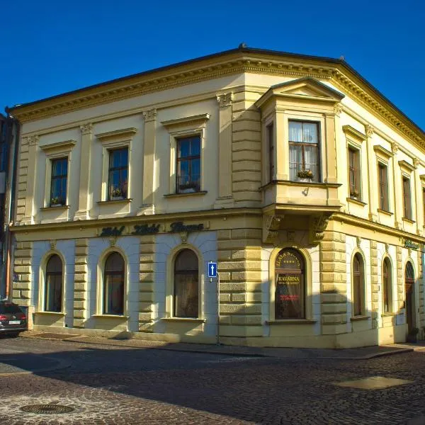 兹拉塔斯特奥普酒店，位于Nová Lhota的酒店