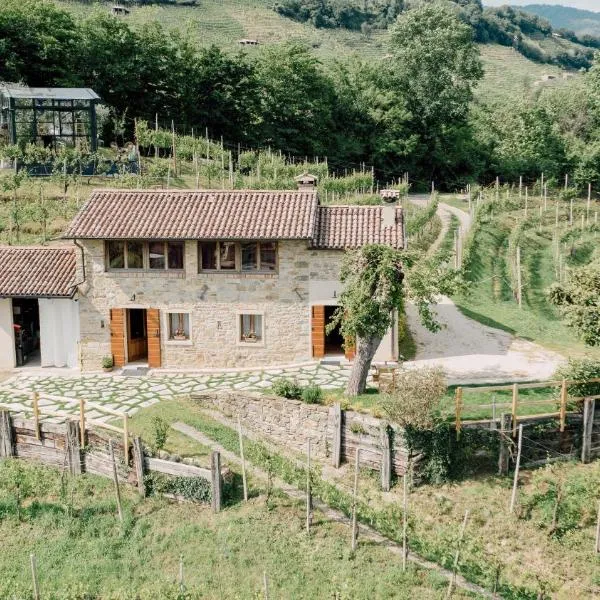 Agriturismo Il Conte Vassallo，位于苏塞加纳的酒店