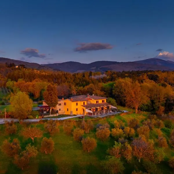 Tenuta Risalpiano，位于Londa的酒店