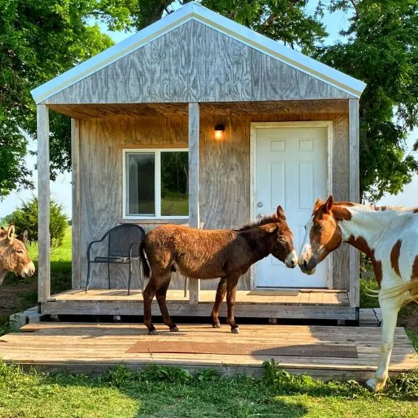 Tiny Cabin at the DonkeyRanch，位于Medicine Park的酒店