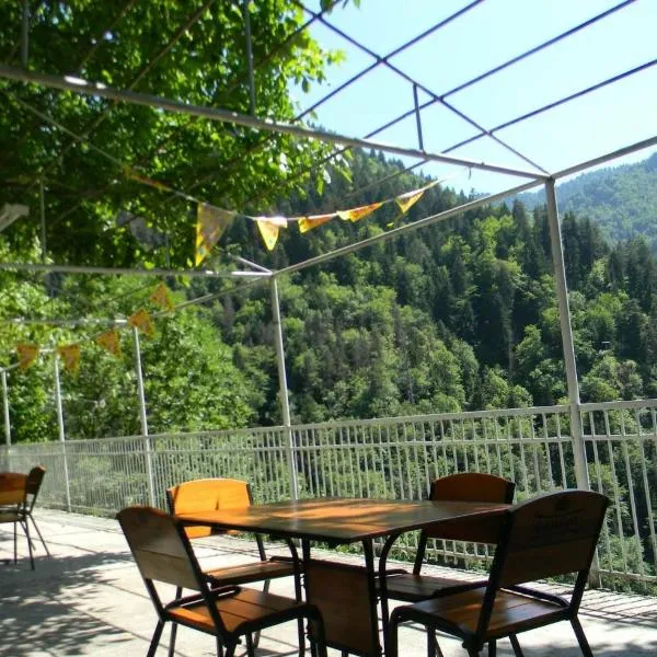 Hotel Villa Borjomi，位于博尔若米的酒店