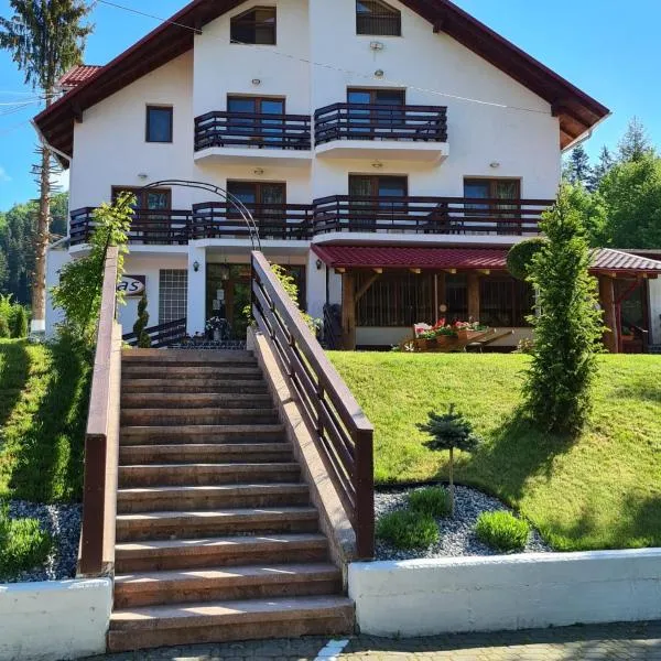 Pensiunea Andias，位于Putnişoara的酒店