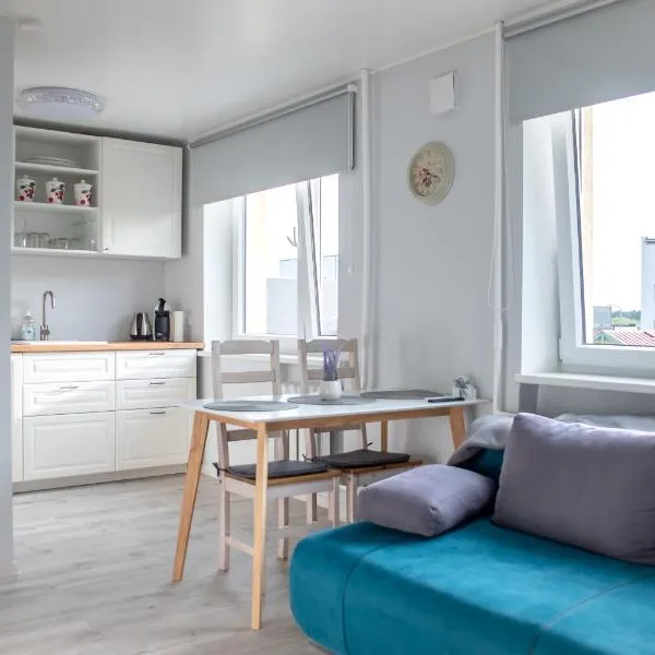 Roosi apartment Haapsalu，位于哈普萨卢的酒店