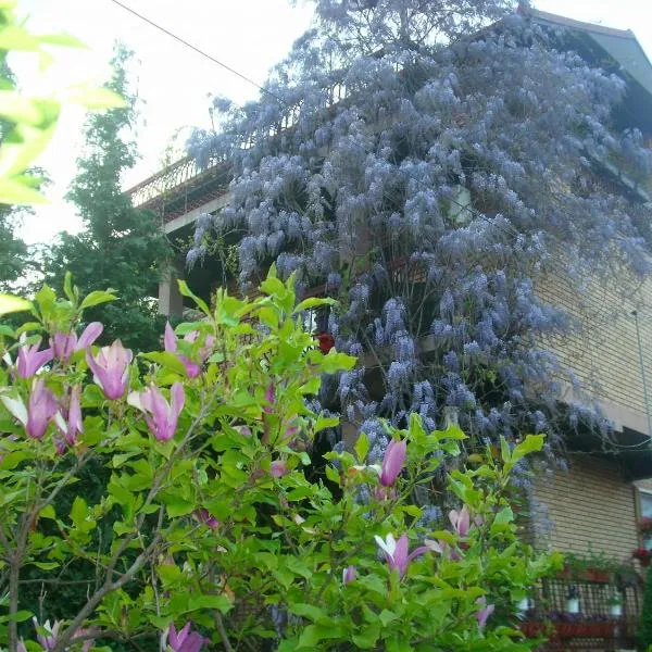 Apartman Wisteria，位于弗拉涅的酒店