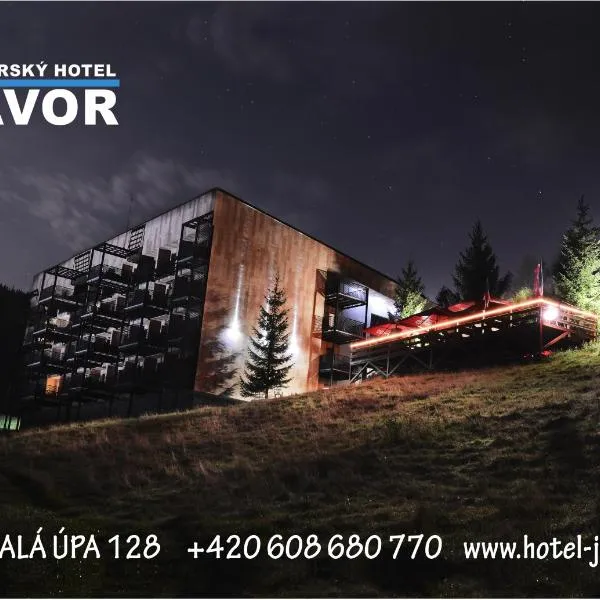 Horský Hotel Javor，位于霍尔马拉帕的酒店