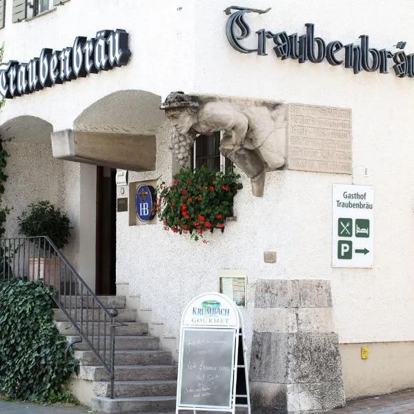 加斯托夫特劳本布劳酒店，位于Kettershausen的酒店
