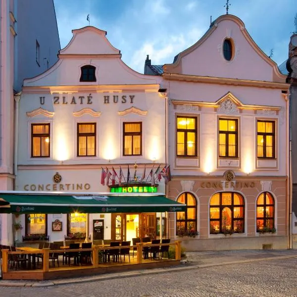 赫拉德茨协奏曲酒店，位于Deštná的酒店