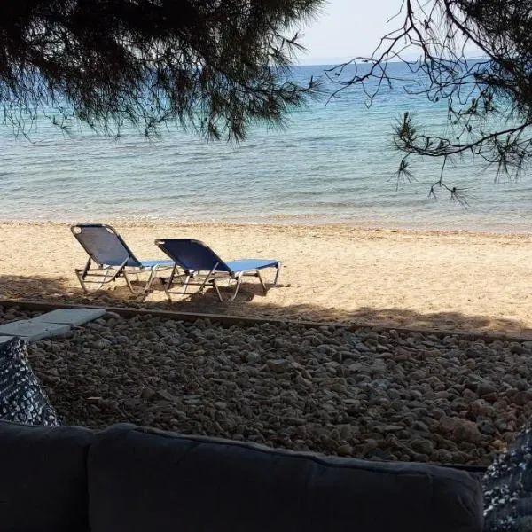 "Pine&Sea" Kastamoniti beach，位于尼基季的酒店