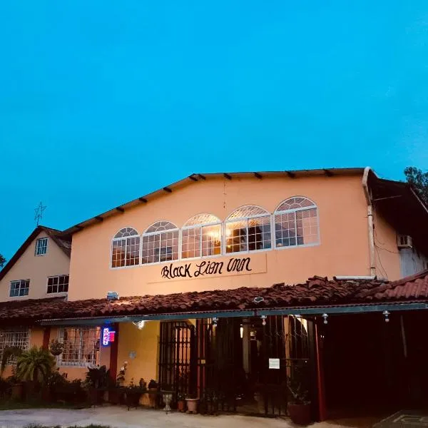 Black Lion Inn，位于El Espino de Santa Rosa的酒店