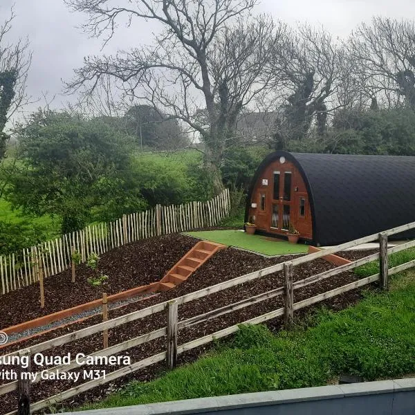 Ivy hill Glamping Pod，位于恩尼斯的酒店