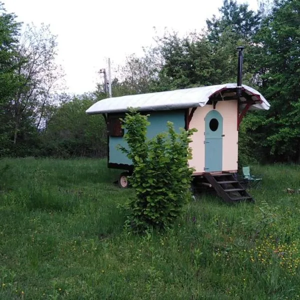 Shepherd's hut in nature，位于Vojnić的酒店