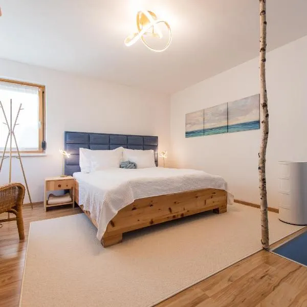 Apartment Alexandra，位于格蒙登的酒店