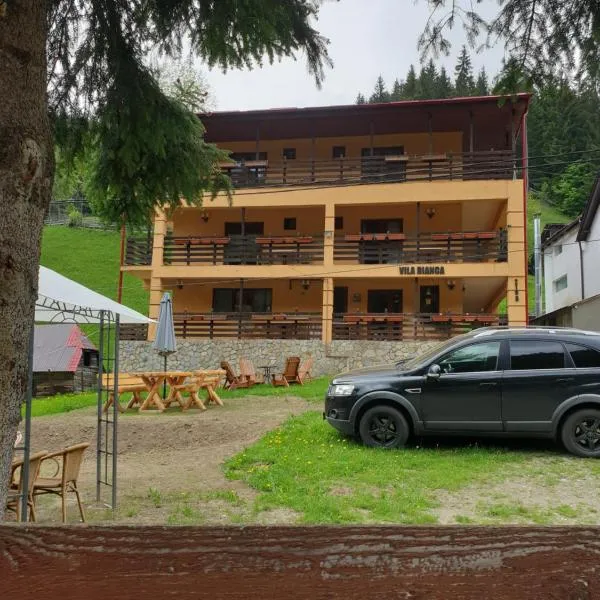 维拉比安卡德拉古辛旅馆，位于米奥修德萨斯的酒店